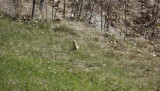 DSCF0924