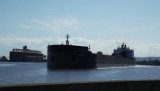 DSCF0961