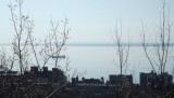 DSCF0976