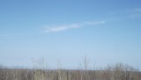 DSCF0977