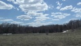 DSCF0984