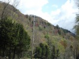 DSCF1349