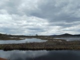 DSCF1400