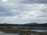 DSCF1403