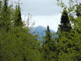 DSCF1411
