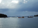 DSCF1567
