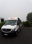 Regenwoud in Haast