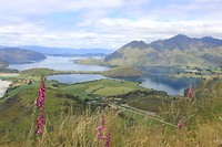 Rocky Mountain Wanaka (1)