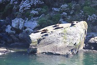 Milford Sound (5)