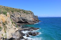 Otago Peninsula (2)