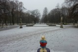 It is getting cold