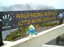 DSC00112-550