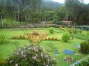 DSC00228-550
