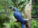 DSC00131-550