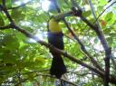 DSC00135-550
