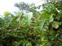 DSC00172-550