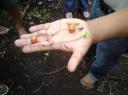 DSC00178-550