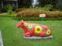 DSC00215-550