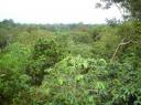 DSC00179-550