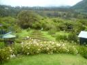 DSC00207-550