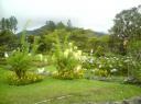 DSC00214-550