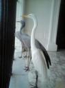 DSC00273-550