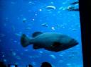 DSC00371-550