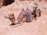 Transportation