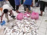At the new fishmarket