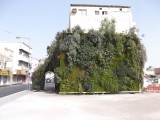 Vertical garden with more than 200 plant species