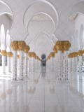 some of the more than thousend pillars of Grand Mosque