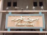 Falcon souq