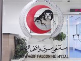 Souq Waqif falcon hospital