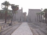 Luxor temple from a distance