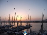 Smurf during sunset along the river Nile