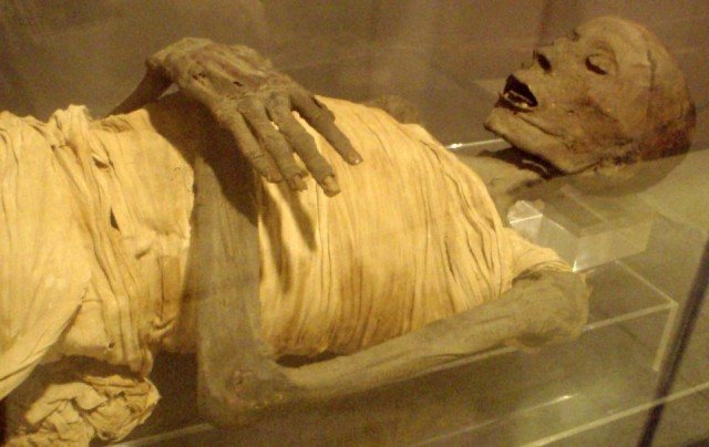 image of a mummie