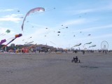 Lots of kites over Rimini  beach