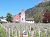 Smurf walking through Vaduz (.LI)