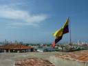 P1010049-550