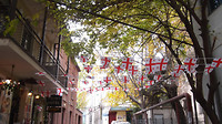Street with Georgian banners