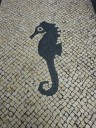 P1200802-550