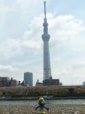 P1220786-550