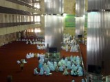P1270126-550