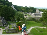 Reissmurf in Palenque ruines