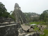 P1290546-550
