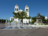 P1290938-550