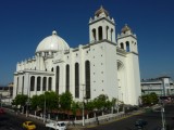 P1300028-550