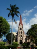 P1300189-550