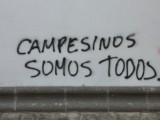 P1300606-550