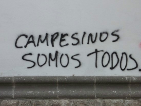 P1300606-550